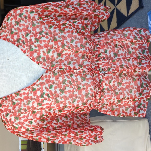 Sheer blouses - Picture 9 of 11